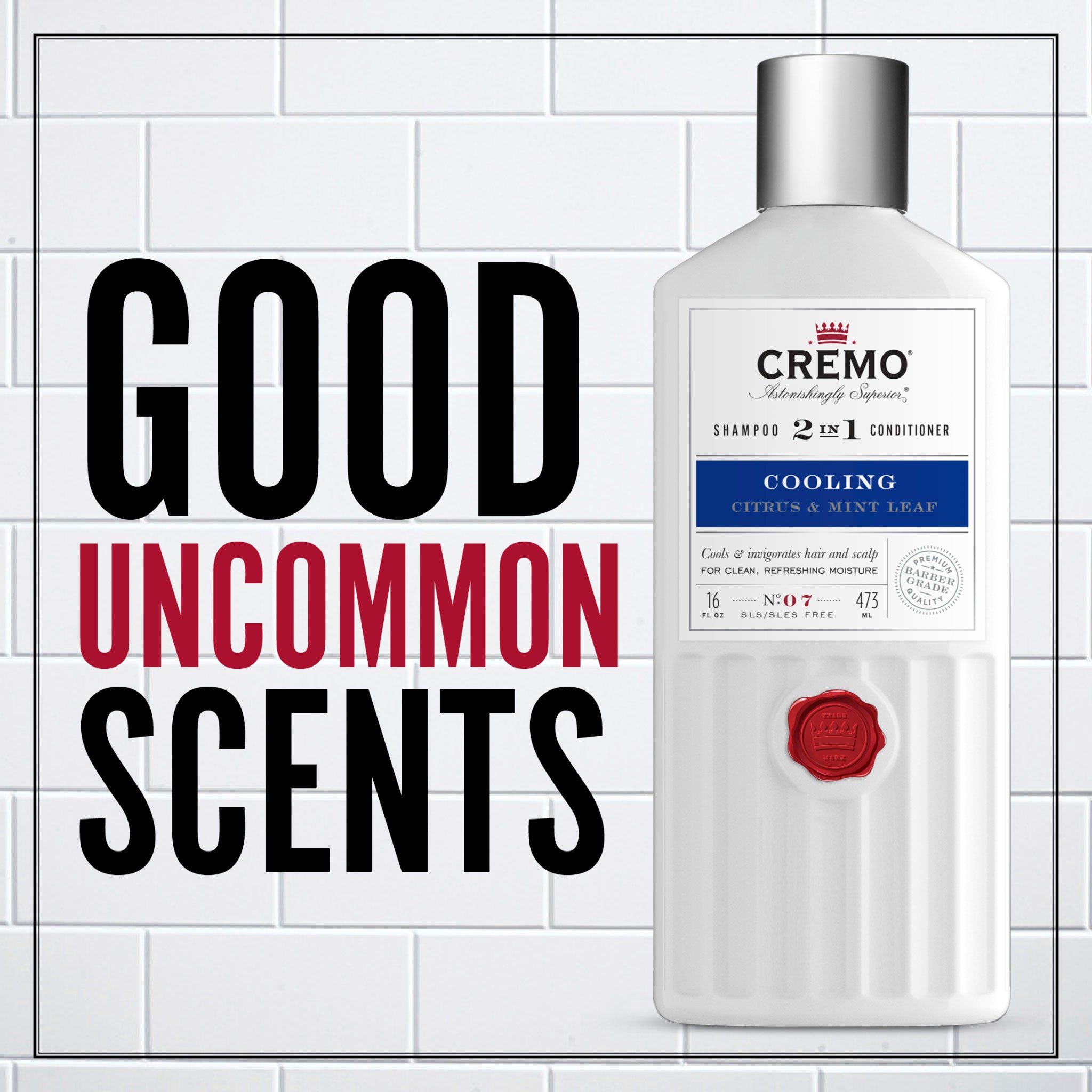 Cremo 2 in 1 shampoo and conditioner. Good, uncommon scents.